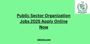Public Sector Organization Jobs 2025 Apply Online Now